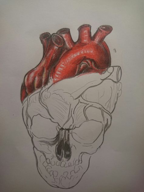 Drawing Skull heart tattoo sketch Skull Heart Tattoo, Sketch Skull, Sketchbook App, Drawing Heart, Get Better At Drawing, Skull Drawings, Heart Skull, Drawing Skull, Sketches Drawing