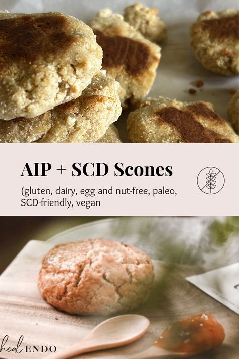 These authentic scones are rich and delicious, yet perfect for your AIP, SCD, or Whole 30 diet. They're gluten free, egg free, nut free, and dairy free, but still with delicious flavor and with the texture of a "real" scone. Come give them a try! #endometriosisdiet #whole30 #scone #glutenfree #dairyfree #nutfree #eggfree #baking #endometriosis Aip Scones, Coconut Flour Scones, Scd Bread, Scd Snacks, Cooking With Coconut Flour, British Scones, Scd Diet, 30 Diet, Scd Recipes