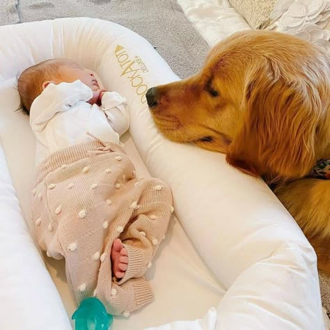 Dog And Baby Pictures, Dogs With Babies, Babies And Dogs, Dog And Baby, Lode A Dio, Baby And Dog, Mom Dad Baby, Dogs And Babies, Baby Tumblr