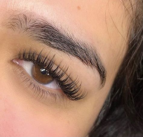 Lash Extensions Minimal, Whispy Lashes Natural, Eyelash Extensions Styles Wispy Natural, 9-14 Mm Lashes, Eyelash Extensions Brown Eyes, 14mm Lash Extensions, Lashes 2:1, Wet Look Eyelash Extension, Kylie Lash Extensions