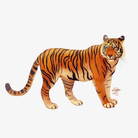 Tiger Drawing Easy, Javan Tiger, Tiger Aesthetic, Aesthetic Tiger, Tiger Background, Wallpaper Tiger, English Assignment, Tiger Roar, Tiger Sketch