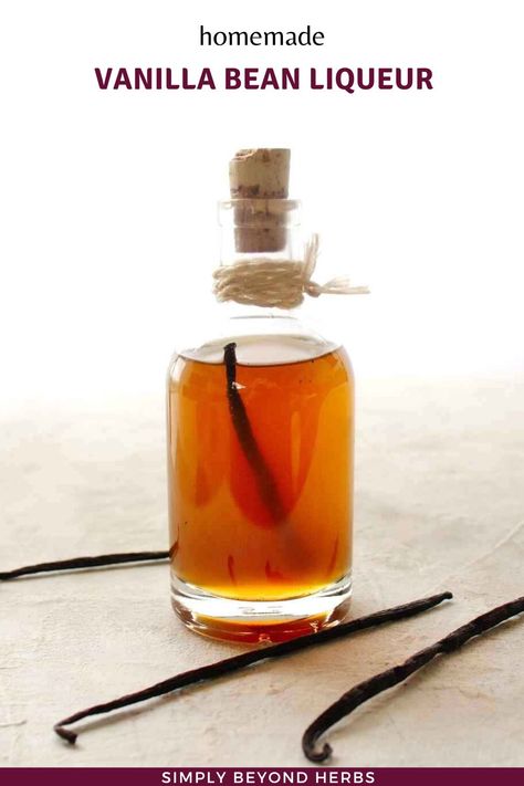 Homemade Liqueur Recipes, Vanilla Liqueur, Diy Vanilla, Infused Liquors, Make Vanilla Extract, Gin Recipes, Liqueurs Recipes, Vodka Recipes, Vanilla Beans