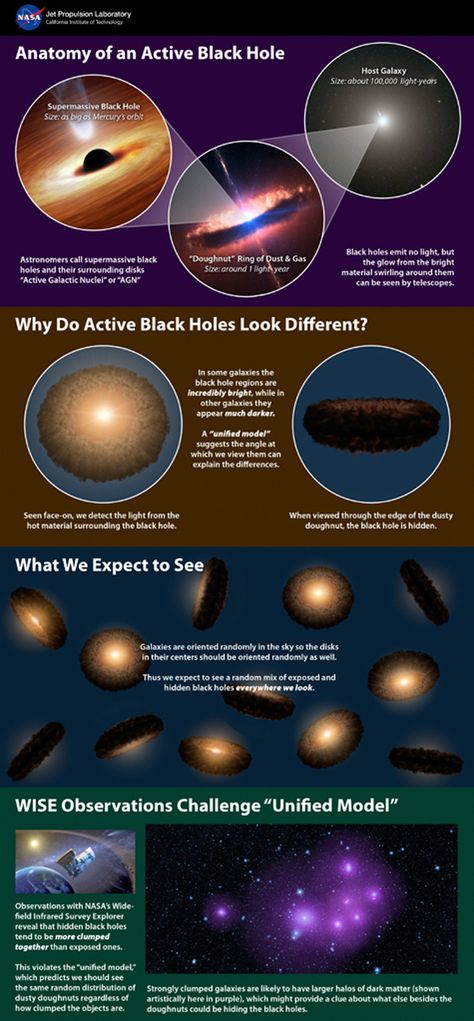 Nasa Infographic, Black Hole Theory, Universe Energy, Space Facts, Nasa Jpl, Andromeda Galaxy, Black Holes, Space Odyssey, Fascinating Facts