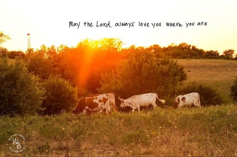 Western Wallpaper Laptop, July Lyrics, Song Prompts, Western Backgrounds, Zach Bryan Quotes, Western Wallpapers, Country Lyrics Quotes, Cowboy Artwork, Bible Aesthetic