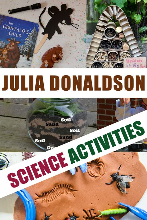 Huge collection of activities based around the Julia Donaldson books. Superworm activities, Gruffalo experiments,  room on the Broom investigations and more science for kids #JuliaDonaldson #BookActivities #preschoolscience #superworm #gruffalo #roomonthebroom #zog Julia Donaldson Activities, Gruffalo Eyfs, Gruffalo Activities, Julia Donaldson Books, Fossils Activities, Magnet Activities, Gruffalo's Child, Science Experiments For Kids, Julia Donaldson