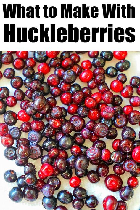 Huckleberry recipes you have to make in July and August when they're fresh in the stores or you've gone huckleberry picking with your family! #huckleberries #huckleberryrecipes #freshfruitrecipes Fresh Huckleberry Recipes, Huckleberry Syrup Recipe, Huckleberry Muffins, Huckleberry Ice Cream, Sweet Rolls Recipe, Huckleberry Recipes, Huckleberry Jam, Cherry Jam Recipes, Sweet Roll Recipe