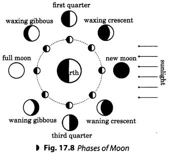 Stars and the Solar System Class 8 Extra Questions Science Chapter 17 - Learn CBSE  #ExtraQuestionsforClass8ScienceChapter17 #Class8Notes Eclipse Ritual, Moon Facts, Photographing The Moon, Full Moon Phases, Circle Diagram, Moon Magick, Moon Cycle, Witch Spirituality, Eclipse 2024