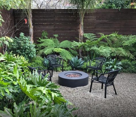 House Ferns, Cedar House, Fern Garden, Shade Garden Design, Japanese Garden Landscape, Small Garden Landscape, Black Concrete, Ferns Garden, Garden Water Feature