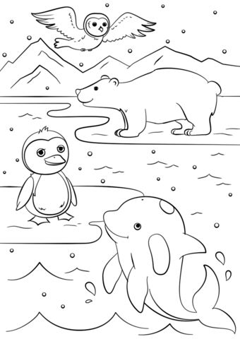 Polar Animals Preschool, Coloring Pictures Of Animals, Snow Animals, Coloring Pages Winter, Preschool Coloring Pages, Polar Animals, Bear Coloring Pages, Animals Coloring, Coloring Sheets For Kids