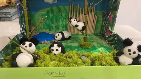 School project Panda Diorama, Panda Habitat, Diorama Kids, Habitats Projects, Chinese Panda, School Project, Activities To Do, School Projects, Habitat