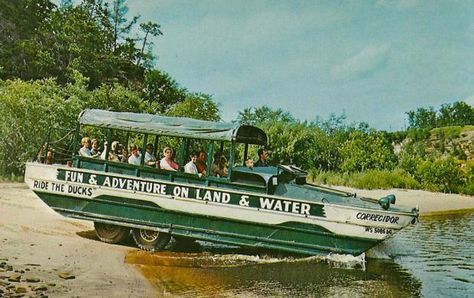 70 Years Later, The WWII Military Craft Known As 'Ducks' Still Serve Wisconsin Tourists | Wisconsin Public Radio Wisconsin Dells Vacation, Wi Dells, Duck Boats, Exploring Wisconsin, Duck Boat, Great Wolf Lodge, Wisconsin Travel, Wisconsin Dells, Boat Ride