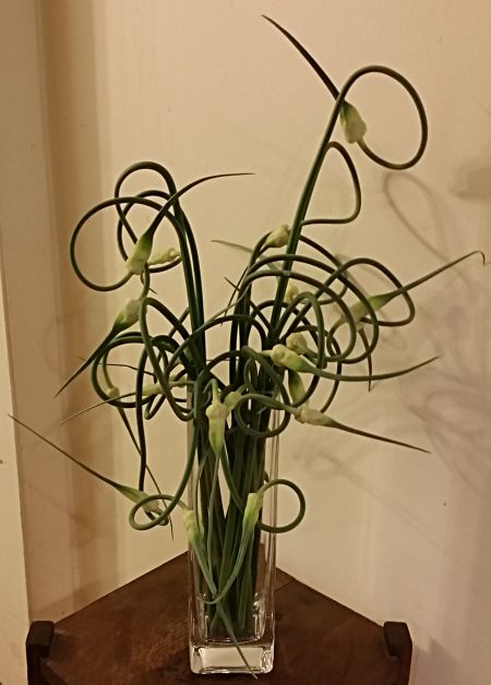 Garlic Scape Bouquet Garlic Scape Bouquet, Garlic Flower, Garlic Scapes, Farm Ideas, Flower Ideas, Chest Tattoo, Garden Art, Wedding Flowers, Garlic