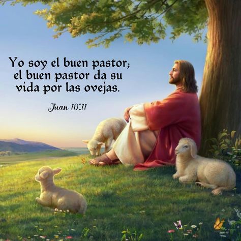 Buen pastor 💕 hosted at ImgBB Jesus, Wallpapers