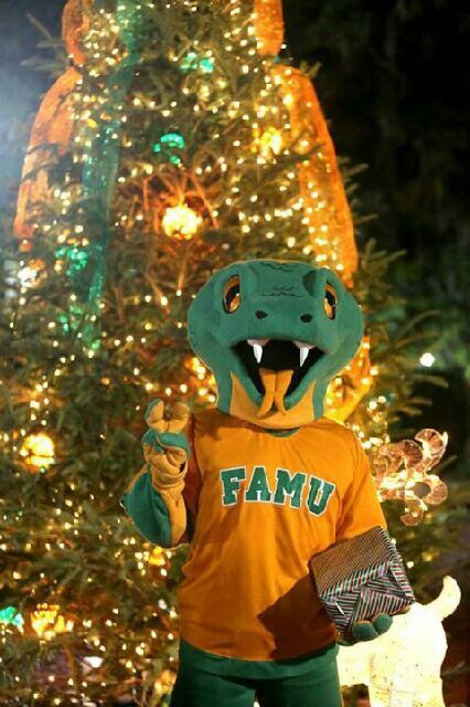 2013 Lighting of Christmas tree on FAMU's campus on Quad Famu Campus, Trunk Party Ideas College, Trunk Party, Photo Wall Display, Dream Collage, College Experience, College Aesthetic, Dream College, Dream School