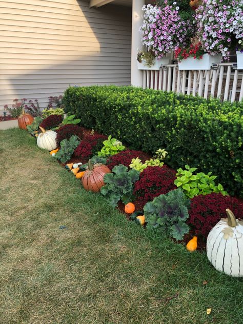 Fall Bench Outdoor, Fall Garden Landscaping, Simple Fall Landscape, Pumpkin Mums Fall Decorating, Front Curb Appeal Ideas, Front Yard Fall Landscaping, Outdoor Mum Display, Fall Curb Appeal Front Yards, Mums Front Yard