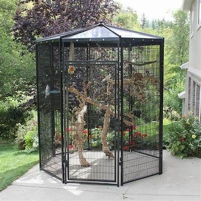 Large Parrot Cage, Finch Cage, Diy Bird Cage, Flight Cage, Bird Flight, Cage Bird, Large Bird Cages, Elevated Bed, Bird Aviary