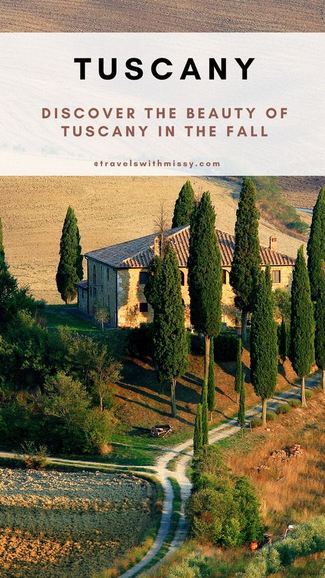 Explore the magnetic region of Tuscany in the fall. From truffle festivals, to grape harvests and the romantic cities of Florence and Siena, there are endless things to discover and explore in Tuscany. Tuscany In The Fall, Fall In Tuscany, Tuscany In October, Florence Autumn, Tuscany October, Tuscany In September, Italy In The Fall, Italy In November, Italy Fall