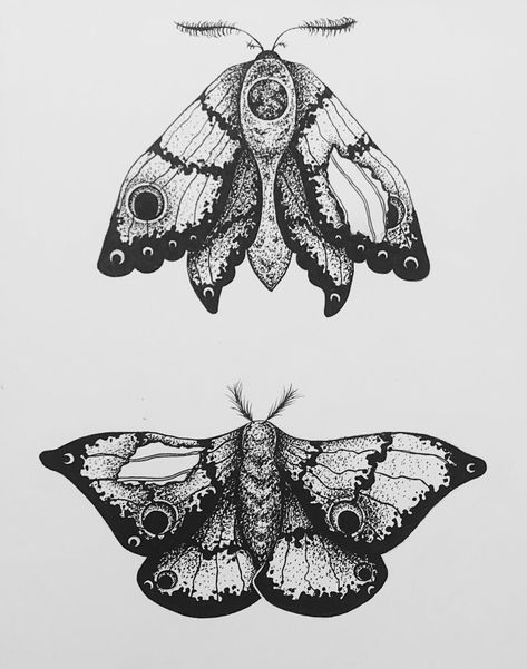 Vintage Moth Tattoo, Closed Moth Tattoo, Moth Tattoo Men Leg, Regal Moth Tattoo, Moth Tattoos Men, Male Moth Tattoo, Moth Tattoo Closed Wings, Moth Tatoos Ideas, Moth Tattoo Underbust