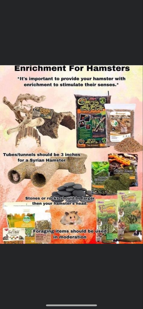 Hamster Safe Plants, Hamster Must Haves, Hamster Cage Enrichment, Diy Hamster Enrichment, Syrian Hamster Cage Ideas, Rat Enrichment Ideas, Hamster Enrichment Ideas, Hamster Essentials, Hamster Cage Ideas Diy