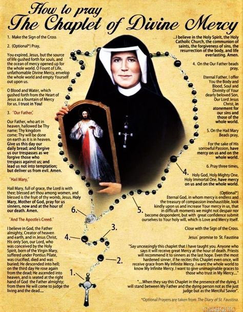 HOW TO PRAY THE DIVINE MERCY CHAPLET INFOGRAPHIC. – Catholics Striving for Holiness Divine Mercy Chaplet Prayer, Devine Mercy, Divine Mercy Novena, Divine Mercy Prayer, Divine Mercy Chaplet, How To Pray, Rosary Prayer, Praying The Rosary, Special Prayers