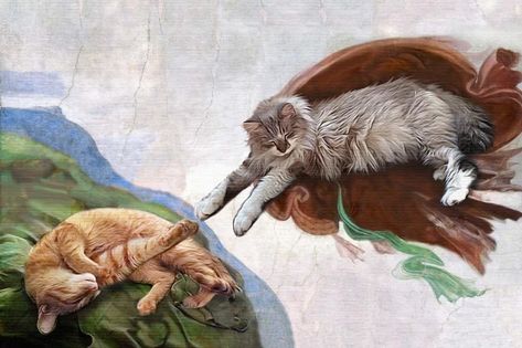 The Creation of Adam | The Renaissance Pet Dog Portraits Art, The Creation Of Adam, Rennaissance Art, Camille Pissarro, Great Cat, Art Uk, Portraits From Photos, Silly Cats, Custom Pet Portraits