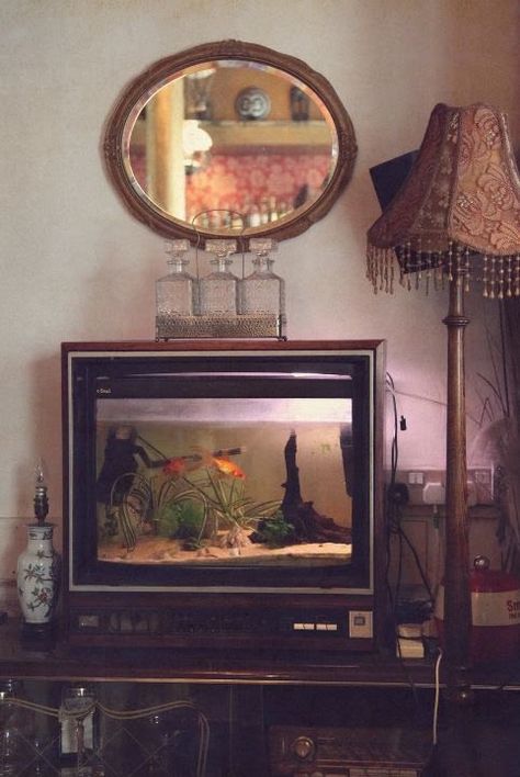 Old Tv Fish Tank, Vintage Tv Room, Old Fish Tank Ideas, Old Tv Ideas, Old Tv Aesthetic, Tv Fish Tank, Tv Painting, Cool Fish Tanks, Tv Wand