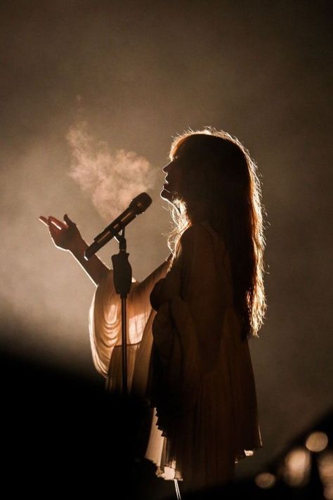 Arte Jazz, Florence Welch, Florence The Machines, Dream Career, Pentatonix, Concert Photography, Music Aesthetic, Music Photography, Future Life