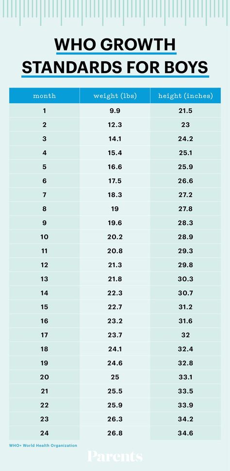 Tracking Infant Growth: Average Baby Weight and Height by Month Baby Weight Chart, Baby Development Chart, Baby Growth Chart, 1000 Calorie, Weight Chart, Weight Charts, Baby Information, Baby Schedule, Baby Growth