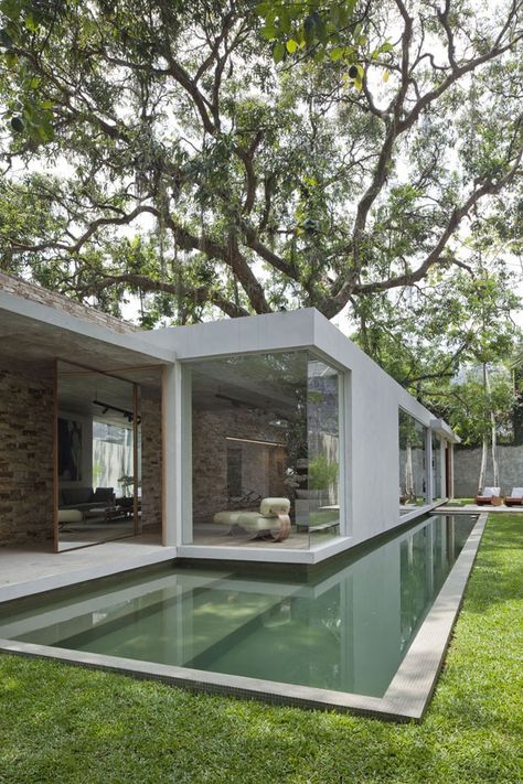 Houses That Save Trees By Wrapping Themselves Around Them                                                                                                                                                                                 More                                                                                                                                                                                 More Porch Aesthetic, Bella Porch, Moderne Pools, Casa Country, Modern Pools, Design Exterior, House Built, Pool Designs, Design Case