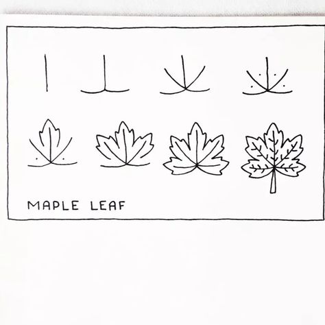 How To Draw An Autumn Leaf, Fall Leaves Simple Drawing, Simple Foliage Drawing, Autumn Leaf Doodle, How To Draw A Fall Leaf, Fall Leaf Doodle, Autumn Leaves Drawing Simple, Fall Drawings Aesthetic Easy, Autumn Doodles Bullet Journal