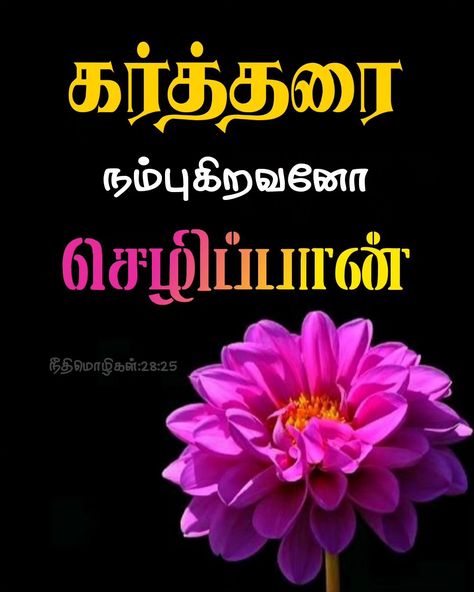 ⭐ TamilBible | நீதிமொழிகள்:28:25 ⭐ ✝️ கர்த்தரை நம்புகிறவனோ செழிப்பான். ✝️ Tamil Bible | Tamil Bible Verse | Jegan | BibleKart | தமிழ் Bible | Tamil Bible Words | Tamil Verse | WhatsApp +919444888727 #tamil #bible #tamilbible #jegan #biblequotes #bibleverses #Biblekart #trending #Jesus #bibleverse #jesuslovesyou #gospel #god #tamilbibleverse Bible Verse In Tamil, Jesus Words In Tamil, Jesus Words, Bible Words In Tamil, Bible Tamil, Tamil Bible Words, Bible Words Images, Tamil Bible, Verses Quotes