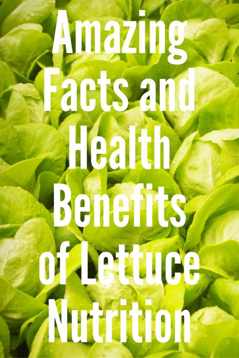 Benefits Of Lettuce, Lettuce Benefits, Best Juicing Recipes, Athlete Nutrition, Medical Facts, Best Keto Diet, Different Vegetables, Nutrition Health, Personal Health