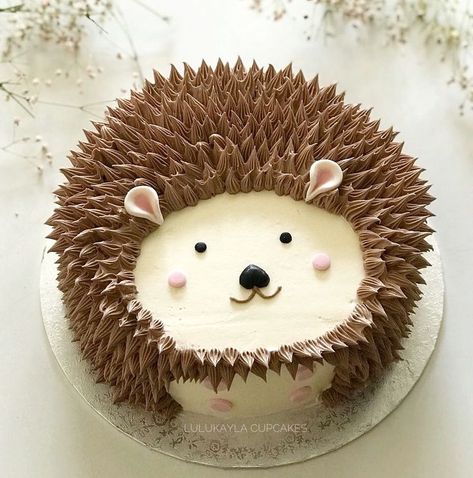 Red Birthday Cakes, Hedgehog Cake, Hedgehog Birthday, A Hedgehog, Animal Cakes, Animal Cake, Cake Images, Birthday Cake Kids, Pretty Cakes