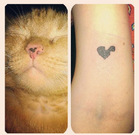 Show Us Your Pet Tattoos And Tell Us What They Mean To You Cat Nose Tattoo, Nose Tattoo, Pet Tattoos, Hp Tattoo, Female Body Art, Ankle Tattoo Small, Cat Nose, Loyal Friends, Cat Parenting