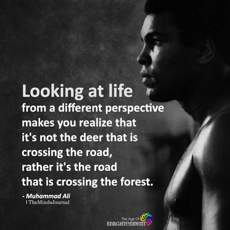 Looking At Life From A Different Perspective - https://themindsjournal.com/looking-at-life-from-a-different-perspective/ Life Perspective, Perspective Quotes, Muhammed Ali, Deeper Life, Hes Mine, Life Thoughts, Ali Quotes, Super Quotes, Ideas Quotes