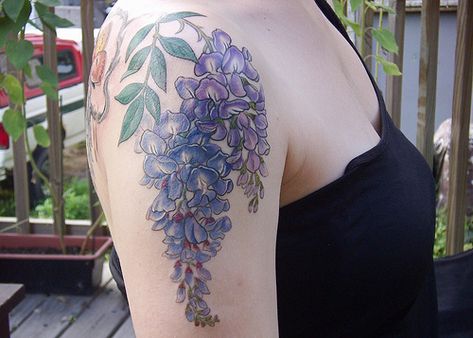 Wisteria arm by butterfat78, via Flickr Wisteria Shoulder Tattoo, Wisteria Flower Tattoo, Wisteria Tattoo, Cottagecore Tattoo, Botanical Tattoos, Flower Reference, Wisteria Flower, La Tattoo, Tattoo Time