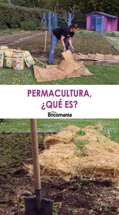 En el briconsejo de jardinería os hablamos sobre la permacultura, una técnica de cultivo del huerto basada en reducir la acción del agricultor en el proceso.   #jardinería #permacultura Ideas Jardin, Future House, Quick Saves