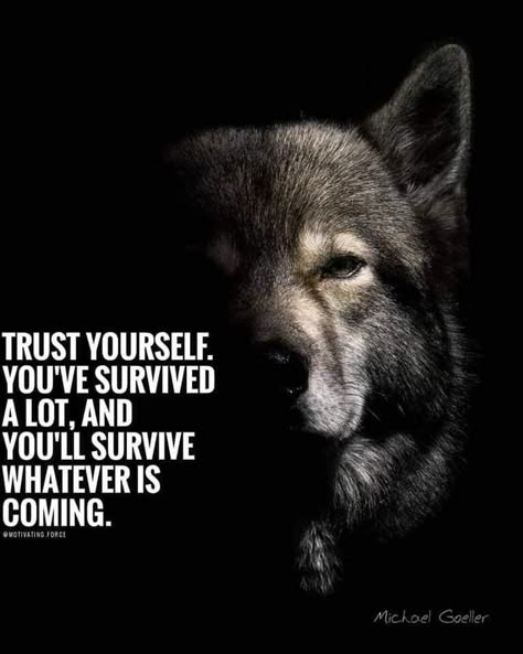 Wolf Quotes Strength, Wolf Attitude, Therian Quotes, Wolf Pack Quotes, Lioness Quotes, Inspirational Animal Quotes, Spiritual Growth Quotes, Lone Wolf Quotes, Cry Wolf