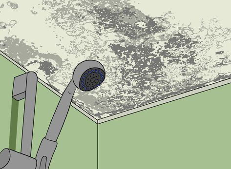 How to Remove Black Mold from Bathroom Ceilings Kill Mold In Bathroom, Bathroom Mold, How To Get Mold Off Bathroom Ceiling, Remove Mold From Ceiling Bathroom, How To Remove Mold From Bathroom Ceiling, How To Get Rid Of Black Mold In Bathroom, How To Fix Mold In Bathroom, Mold On Bathroom Ceiling, How To Prevent Mold In Bathroom