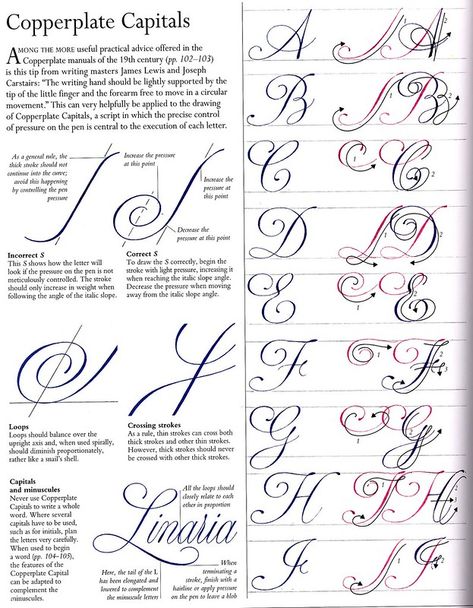 Calligraphy Alphabet Tutorial, Caligrafia Copperplate, Calligraphic Fonts, Calligraphy Writing Styles, Fonts Modern, Calligraphy Fonts Alphabet, Hand Lettering Worksheet, Calligraphy Lessons, Calligraphy Tutorial