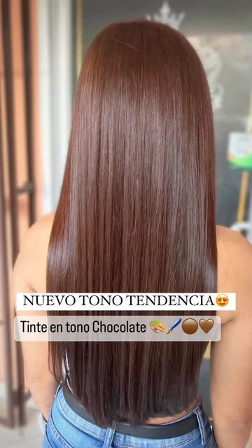 Pelo Marron Chocolate, Brown Cinnamon Hair Color, Brown Hair Inspiration, Pelo Cafe, Cinnamon Hair, Hair Color Chocolate, Wine Hair, Brown Hair Looks, Long Hair Tips