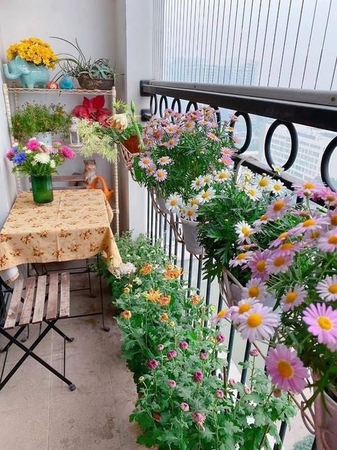 Balcony Garden Flowers, Balcony Flowers Ideas, Plants In Balcony, Balcony With Flowers, Klein Balkon Decor, Balcony Patio Ideas, Flowers Balcony, Tire Garden, Balcony Planters