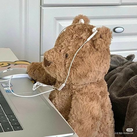 Willow Hale, Bad Reputation, A Teddy Bear, Headphones, Teddy Bear, Laptop, Instagram Photos, Instagram