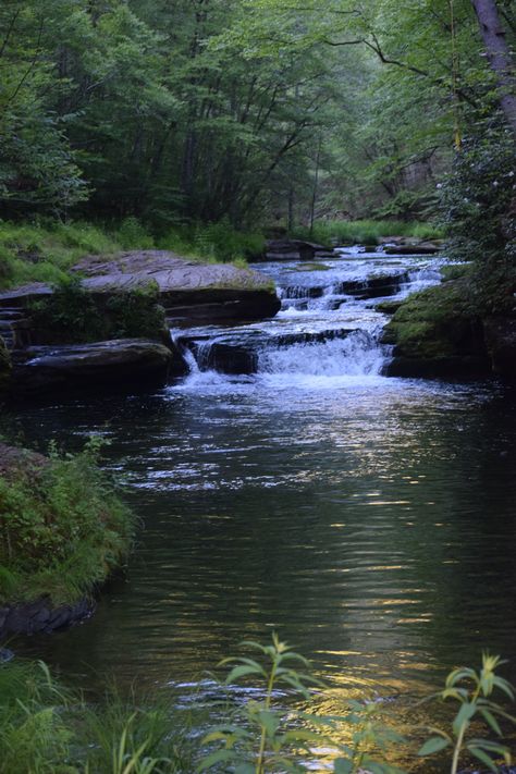 Waterfall Lake Aesthetic, Dark Lakes Aesthetic, Nature Woods Aesthetic, Beautiful Lake In Forest, River Forest Aesthetic, Waterfall Forest Aesthetic, Forest And Lake Aesthetic, Forest Lake Aesthetic Dark, River In A Forest