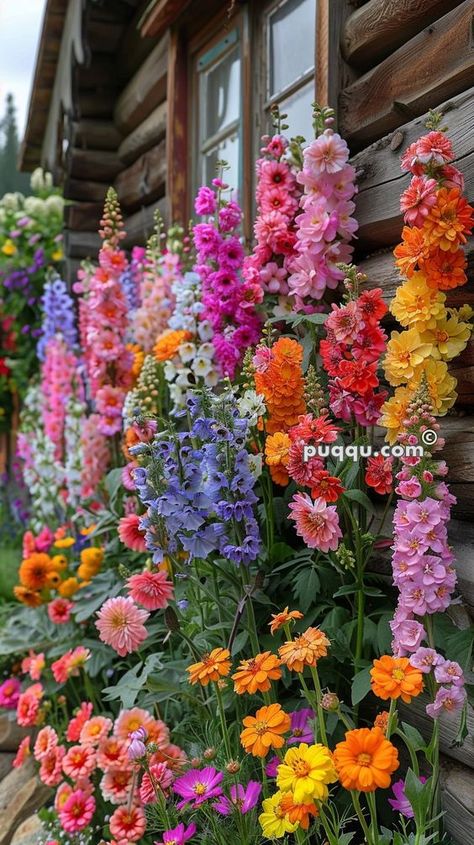 Cottage Garden Diy, Romantic Cottage Garden, Romantic English Garden, Container Cottage Garden, At Home Flower Garden, Cottage Garden Flower Bed Ideas, Cottage Container Garden, Backyard Flower Garden Aesthetic, Cottage Flower Garden Aesthetic