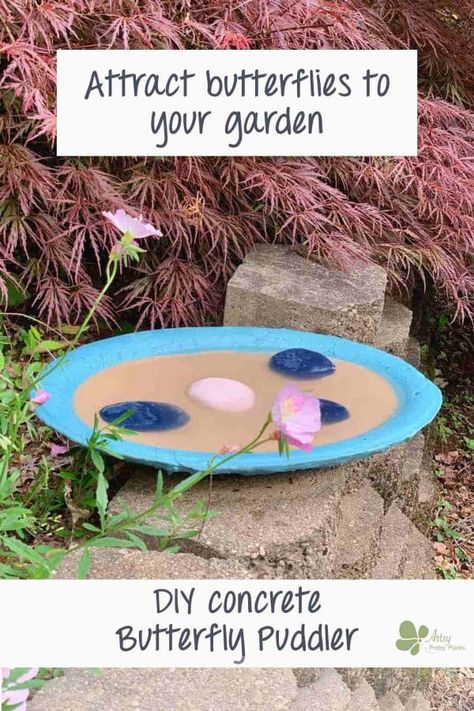 Make a beautiful butterfly puddling station and attract butterflies to your yard! This concrete garden art helps our ecosystem. And, this tutorial is a super fun concrete crafts project you can easily make with kids. #artsyprettyplants #gardendesign #diygardendecor #yardart #gardenprojects #Gardenart #Nativeplantgarden #Butterflygarden #DIYyarddecor #cementcrafts #kidscrafts #easycrafts #diyconcrete #wildlifegarden Butterfly Puddler Diy, Pollinator Garden Design, Diy Yard Decor, Plants That Attract Butterflies, Garden Insects, Native Plant Gardening, Concrete Garden, Wildlife Gardening, Concrete Crafts