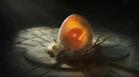 Dragon Egg Eye Beautiful, Tattoo Eye, Tattoo Dragon, Fire And Blood, Fantasy Props, Dragon Egg, Dragon Wings, Dragon Eye, Egg Art