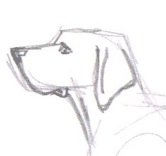 Dog Drawing Reference Realistic, Dog Side View Drawing, Dog With Bone Drawing, Realistic Dog Drawings Pencil, Dog Sketch Easy Step By Step, Dog Sketch Ideas, Drawing Dog Eyes, Art Sketches Tutorial Step By Step, Simple Dog Doodle