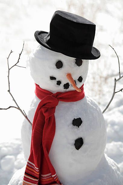 Snowman wearing top hat Snowman Real, Snowman Wallpaper, Snowman Photos, Snowmen Pictures, Diy Crafts For Girls, Peace And Joy, Bookmarks Kids, Build A Snowman, Winter Wonder