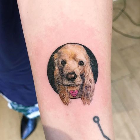 Dog Ear Tattoo, Puppy Tattoo, Colored Tattoo, Fusion Ink, Cocker Spaniel Dog, Dog Ear, Dog Tattoo, Spaniel Dog, Dog Pin